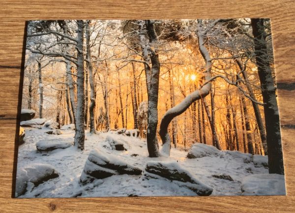Postkarte art+nature Winterleuchten Rabatt